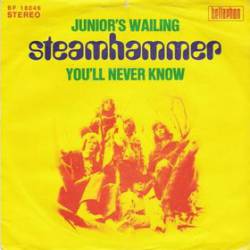 Steamhammer : Junior's Wailing - You'll Never Know